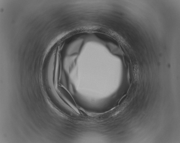X0000078250726200612011629