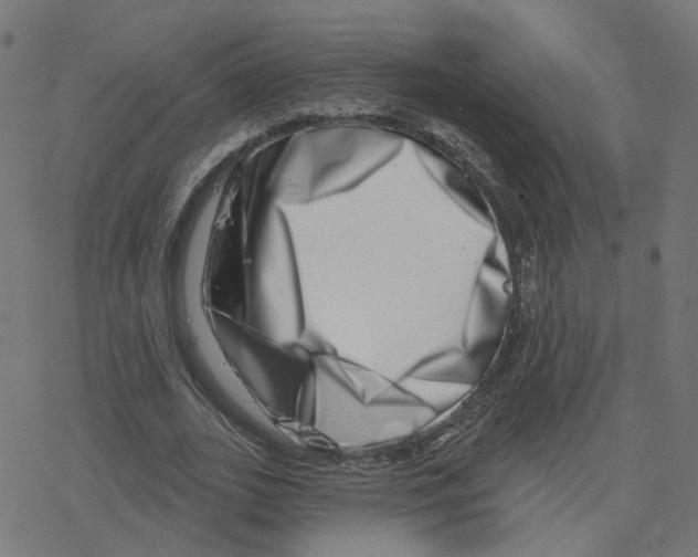 X0000078250727200612011629
