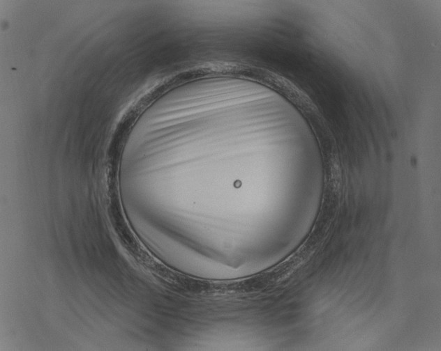 X0000078250730200612011629
