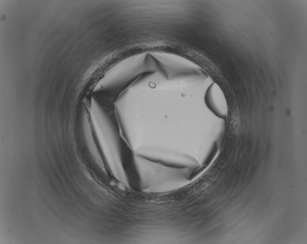 X0000078250732200612011629
