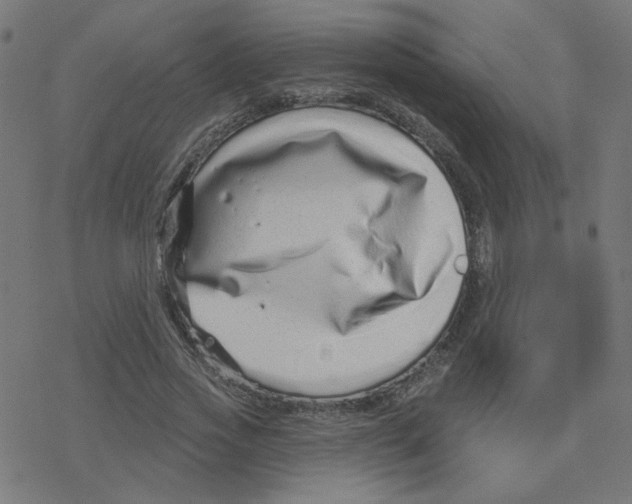 X0000078250733200612011629