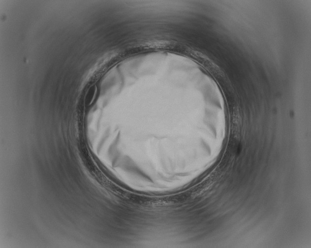 X0000078250734200612011629