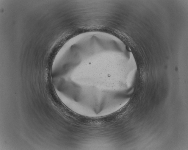 X0000078250735200612011629