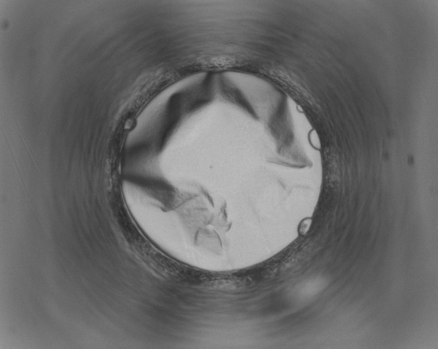 X0000078250738200612011629