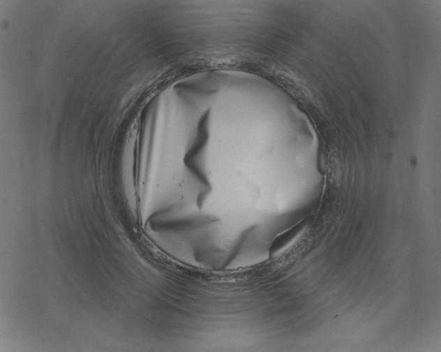 X0000078250740200612011629