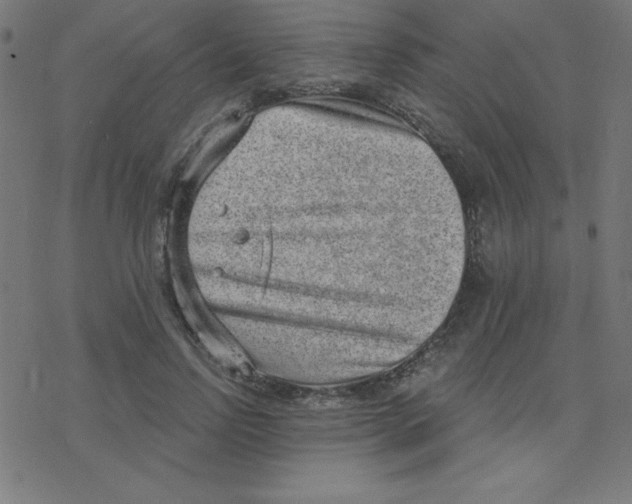 X0000078250742200612011629