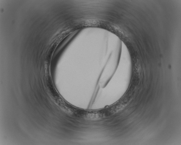 X0000078250744200612011629