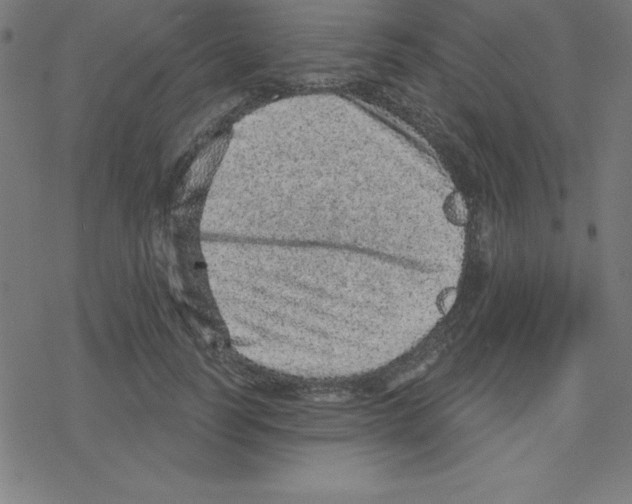 X0000078250746200612011629