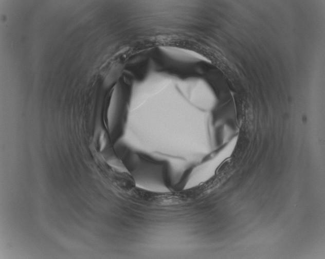 X0000078250750200612011629