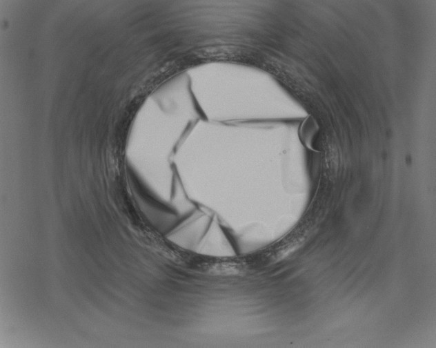 X0000078250751200612011629