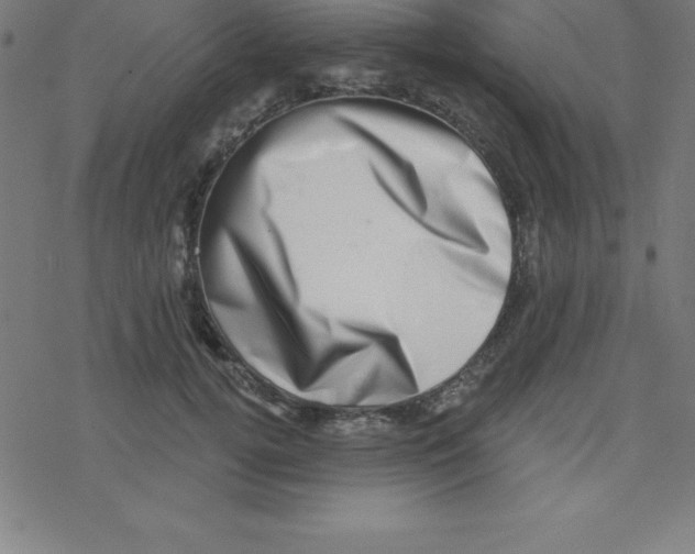 X0000078250752200612011629