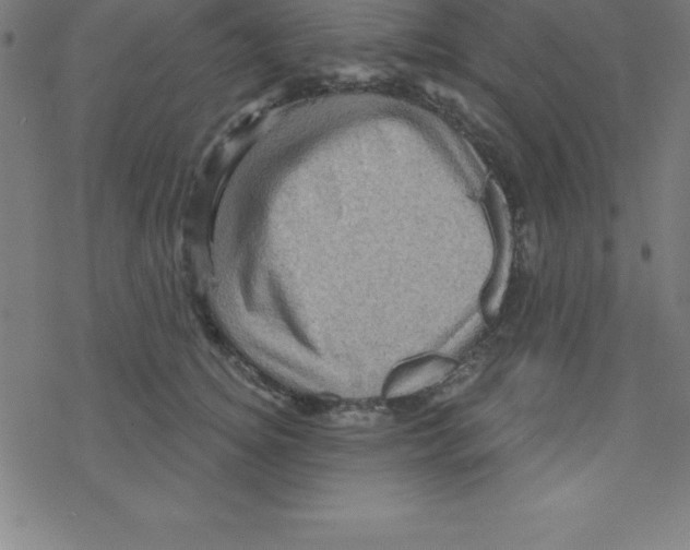 X0000078250756200612011629