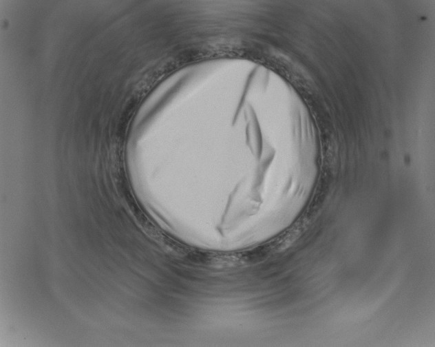 X0000078250757200612011629