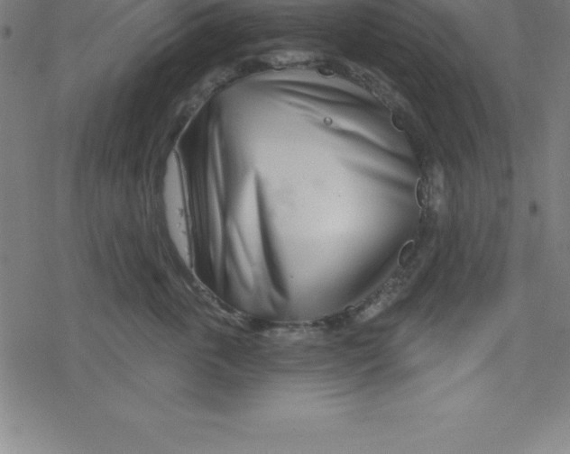 X0000078250763200612011629