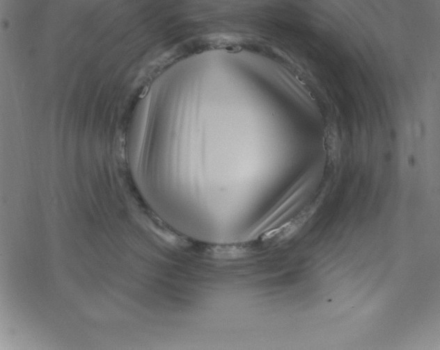 X0000078250766200612011629
