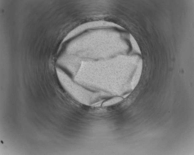 X0000078250768200612011629
