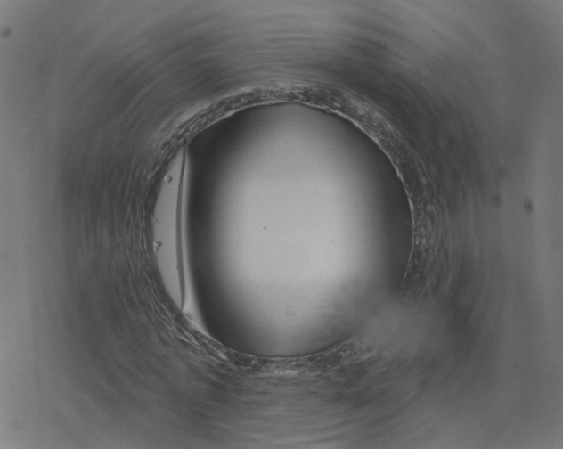 X0000078250773200612011628