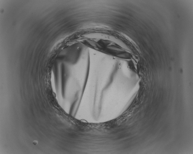 X0000078250775200612011628