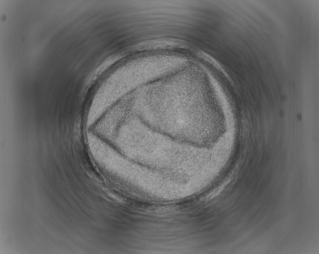 X0000078250778200612011628