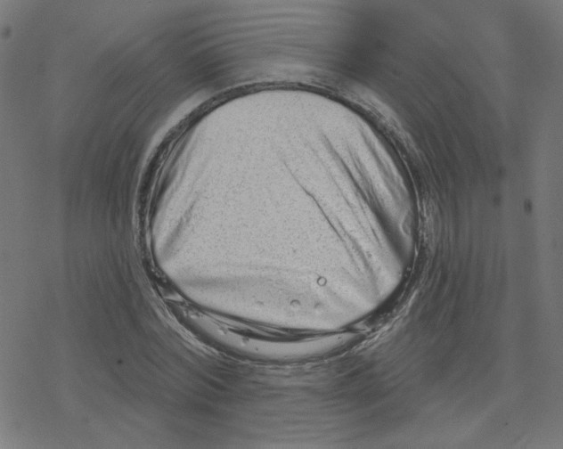 X0000078250780200612011628
