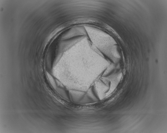 X0000078250786200612011628