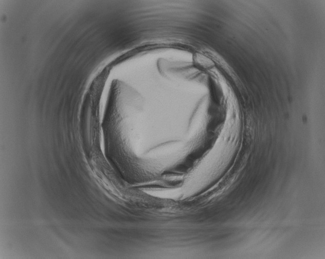 X0000078250787200612011628