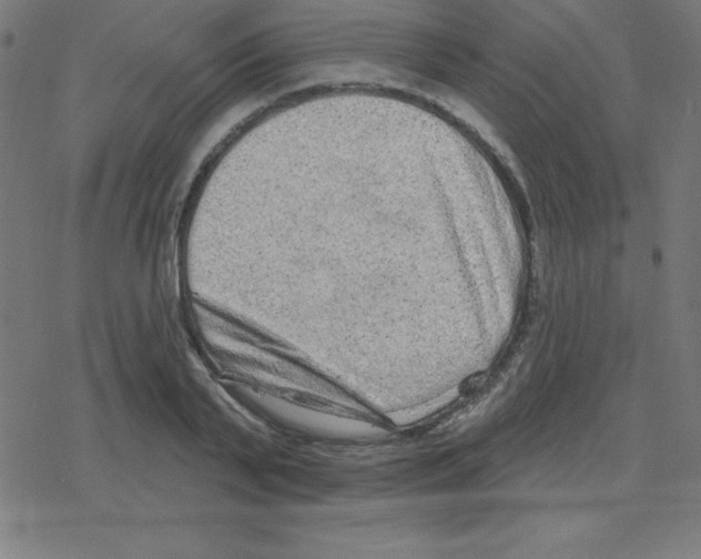 X0000078250791200612011628