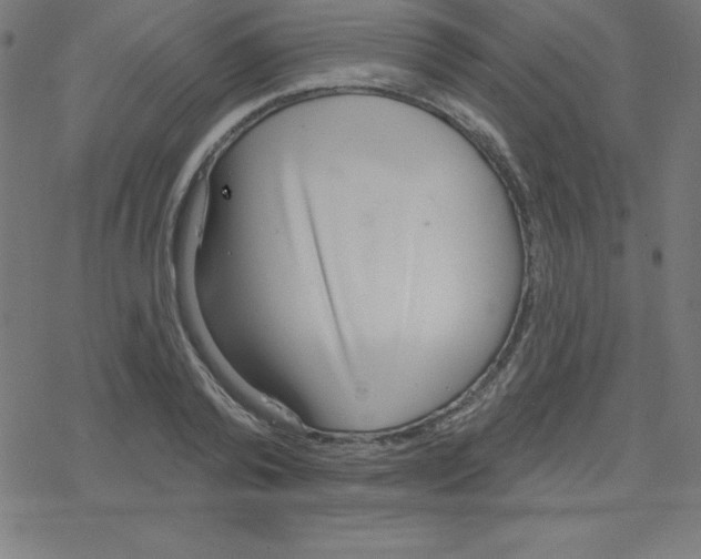 X0000078250792200612011628
