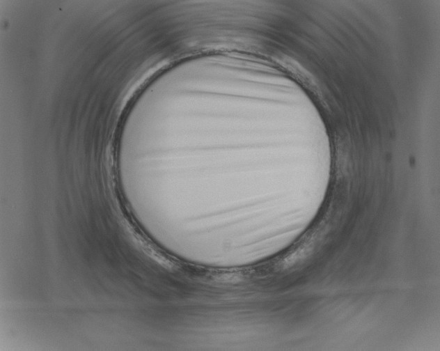 X0000078250798200612011628