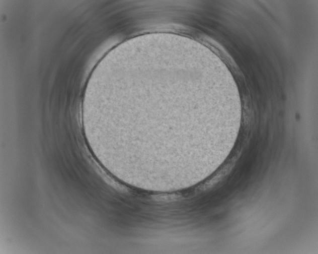 X0000078250804200612011628