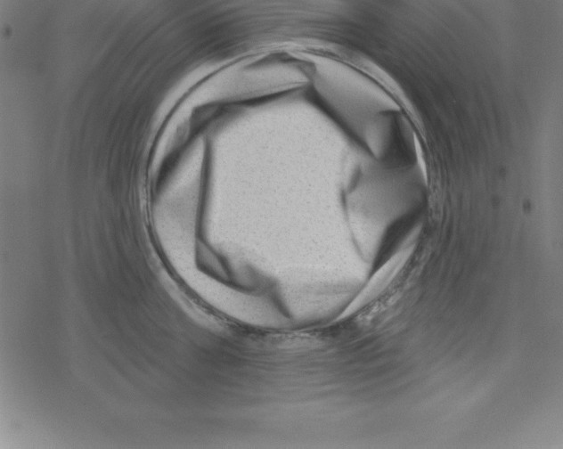 X0000078250811200612011628