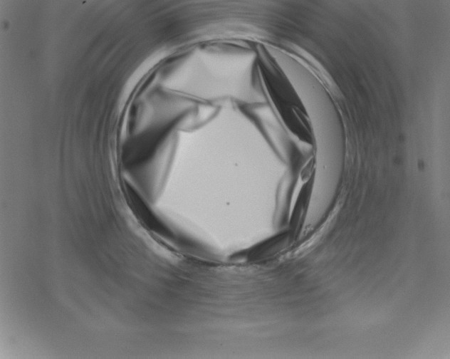 X0000078250812200612011628