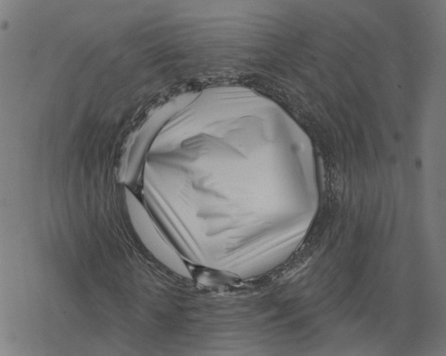 X0000078250818200612011627