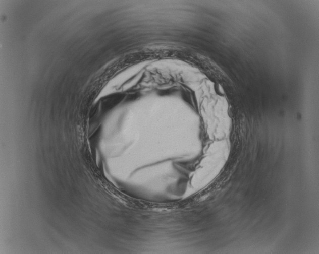 X0000078250821200612011627