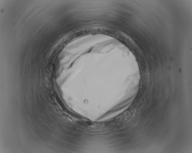X0000078250823200612011627
