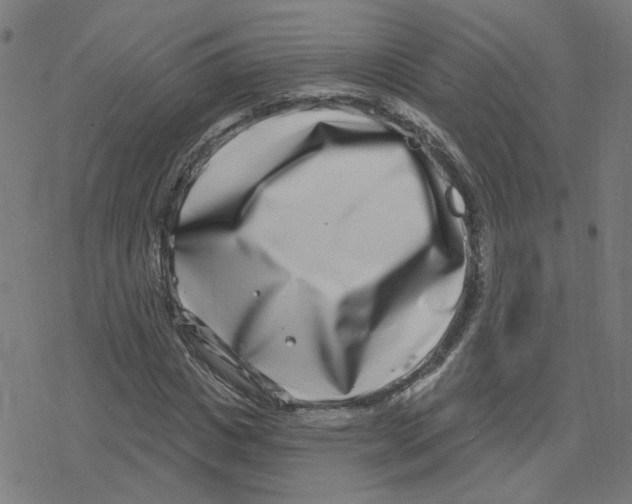 X0000078250825200612011627