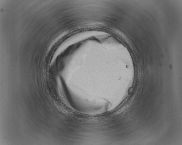 X0000078250827200612011627