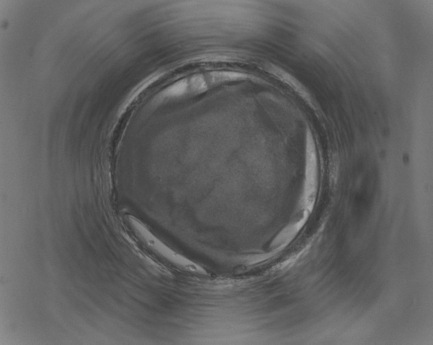 X0000078250829200612011627