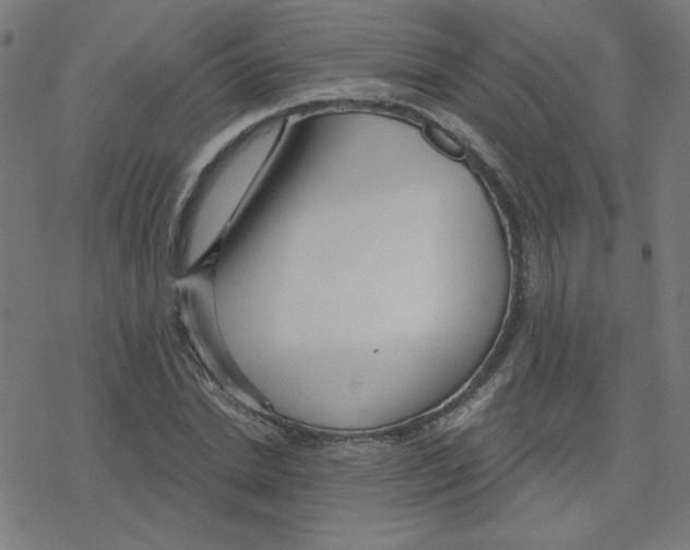X0000078250830200612011627