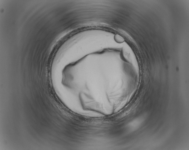 X0000078250831200612011627