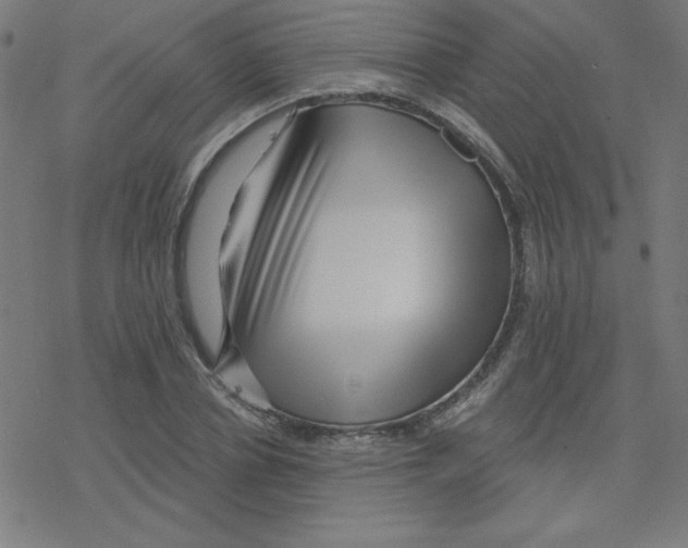 X0000078250834200612011627