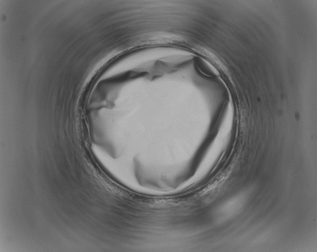 X0000078250835200612011627