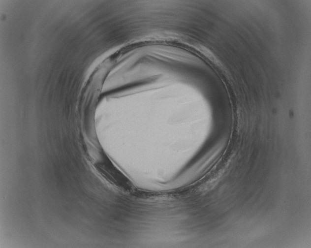 X0000078250838200612011627