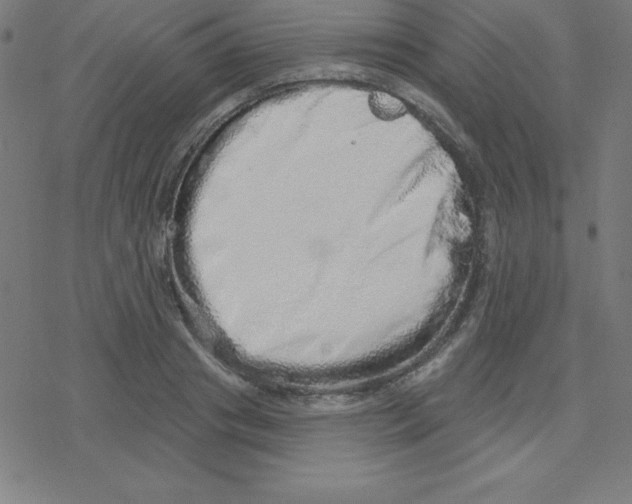 X0000078250841200612011627