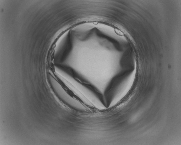 X0000078250845200612011627