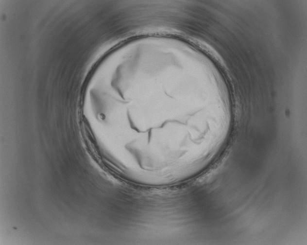 X0000078250847200612011628