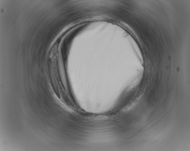 X0000078250851200612011628