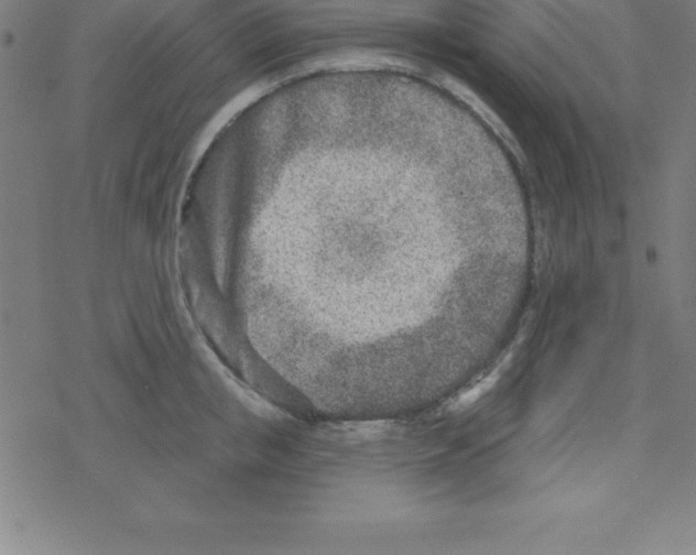 X0000078250853200612011628