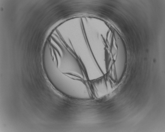 X0000078250854200612011628
