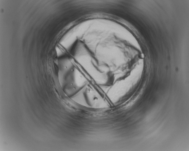 X0000078250857200612011628